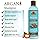 OKAY | Argan Shampoo 12oz