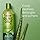 ORS Olive Oil Moisture Restore Creamy Aloe Shampoo Infused with Aleo Vera