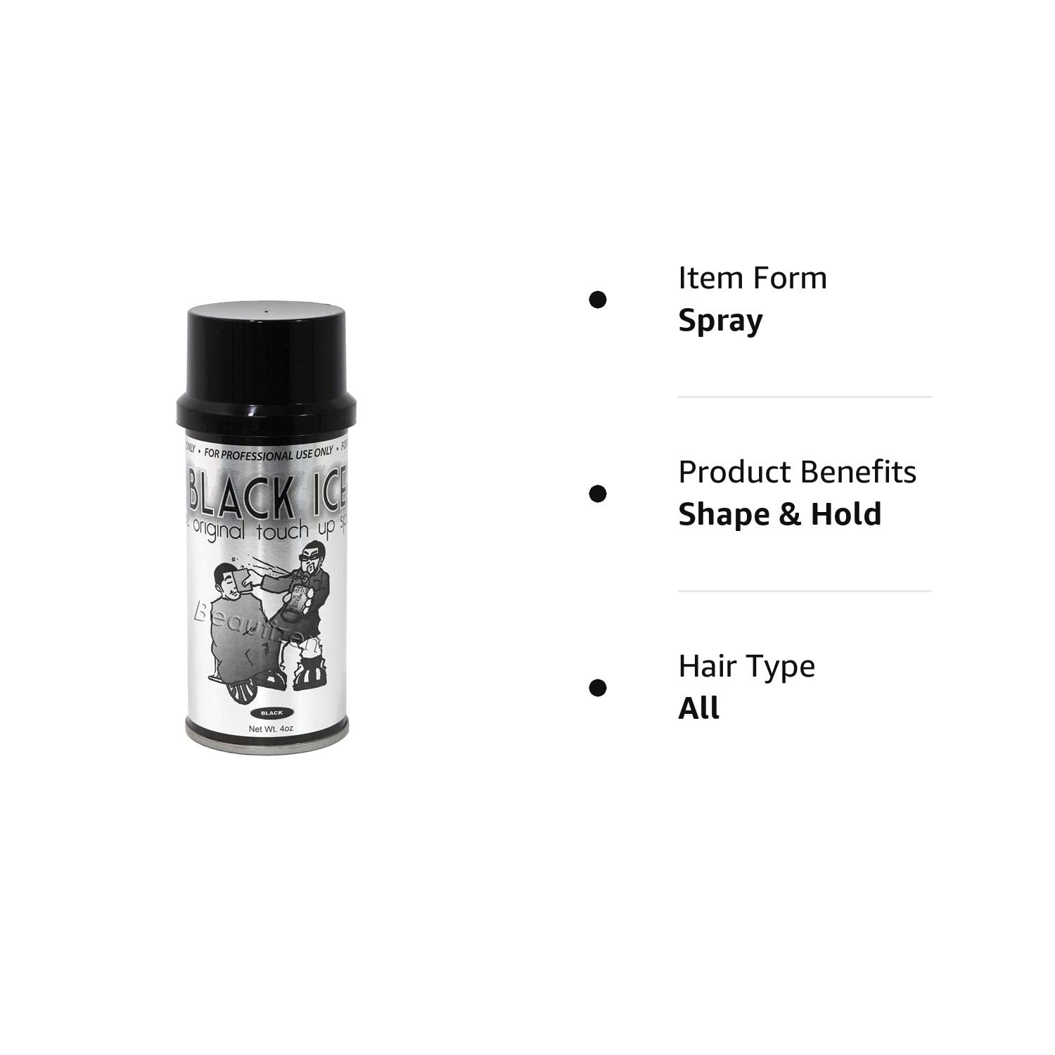 Black Ice The Original Touch Up Spray 4 oz Find Your New Look Today!